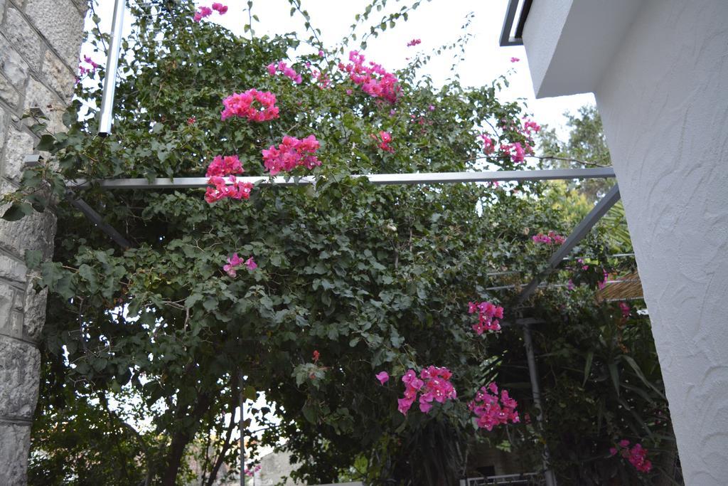 Apartment On The Sunny Side กอร์จูลา ภายนอก รูปภาพ